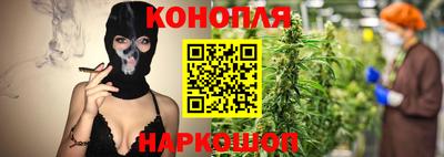 гашик Будённовск