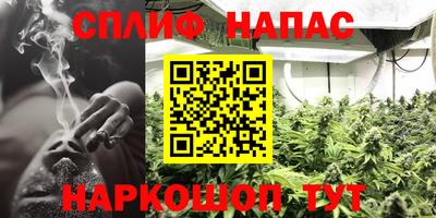 гашик Будённовск