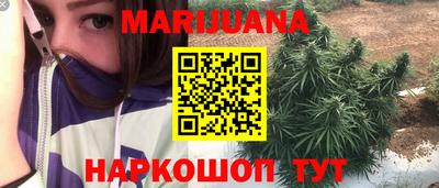 гашик Будённовск