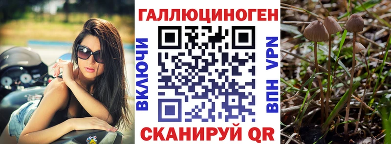 Галлюциногенные грибы MAGIC MUSHROOMS  площадка официальный сайт  Звенигород  купить наркотики цена 