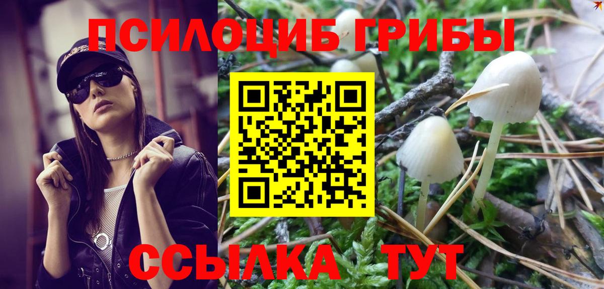 Псилоцибиновые грибы прущие грибы Звенигород