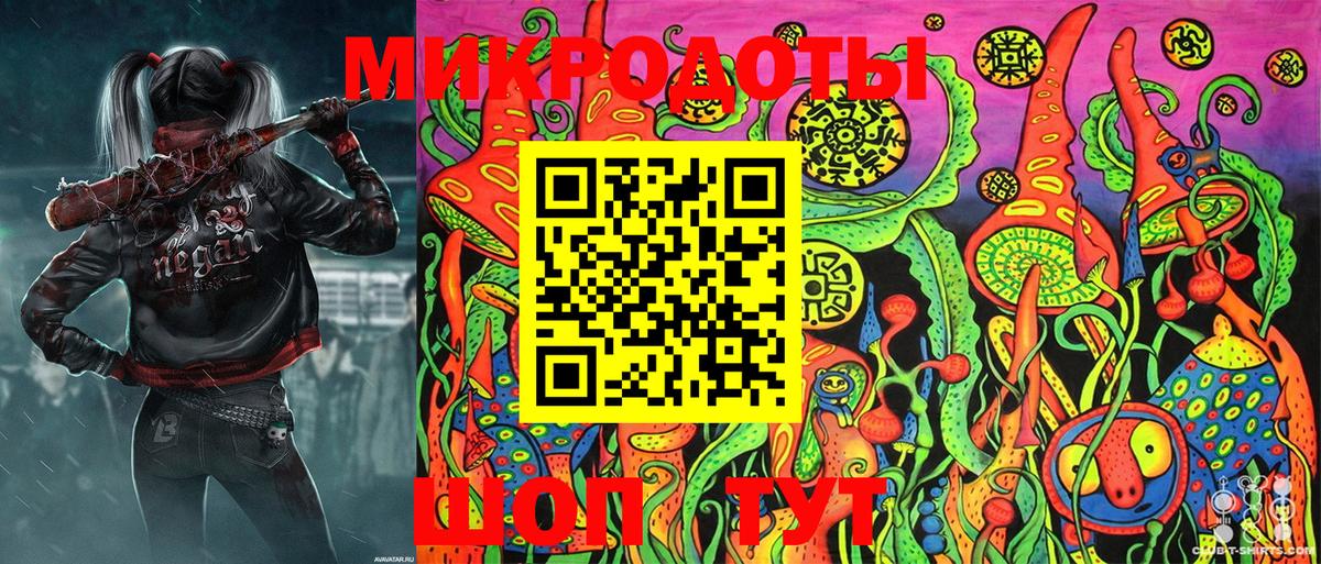 Псилоцибиновые грибы Psilocybine cubensis Звенигород