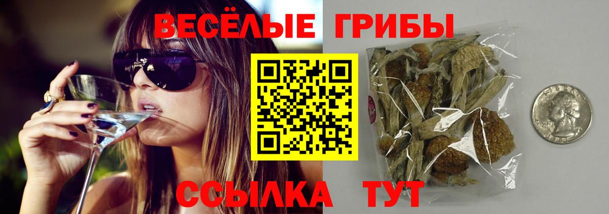 Галлюциногенные грибы Magic Shrooms  Звенигород 